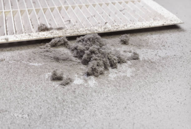 Best Best Air Duct Cleaning Company  in Belle, MO