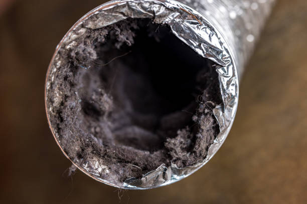 Best Ventilation Cleaning Services  in Belle, MO