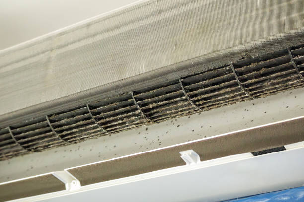 Best HVAC Duct Inspection Services  in Belle, MO