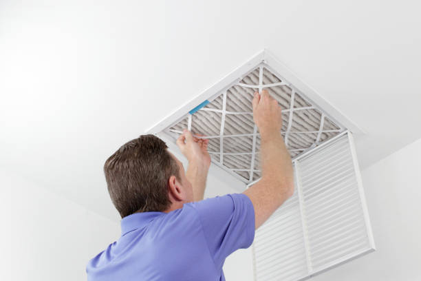 Air Duct Mold Removal in Belle, MO